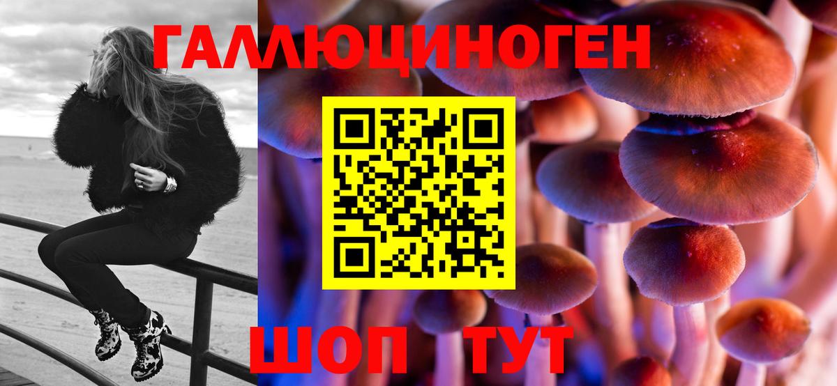 Псилоцибиновые грибы Psilocybine cubensis  Галлюциногенные грибы Psilocybe  Вход с VPN  Новочеркасск 